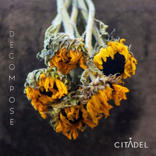 Citadel - DECOMPOSE (2022)