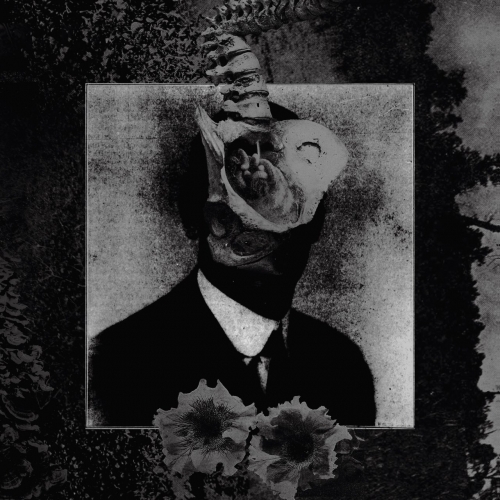 Mord'a'Stigmata - Like Ants and Snakes (2022)