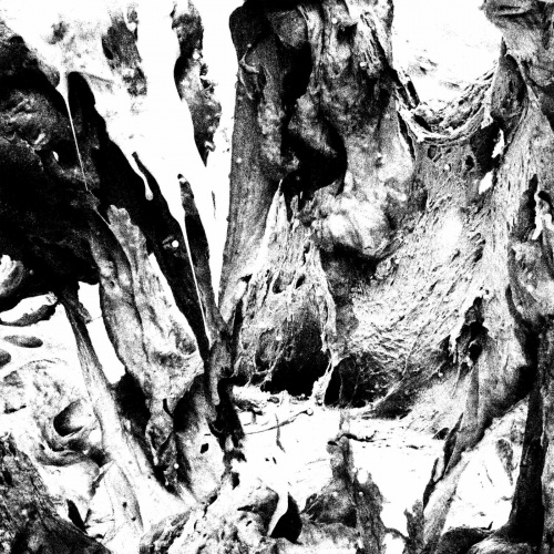 Other Half - Soft Action (2022)