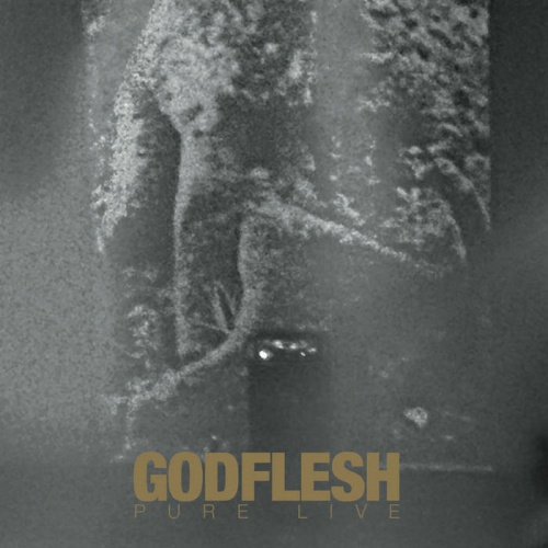 Godflesh - Pure : Live (2022)