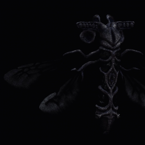 Wounder - Flight of the Mucus Seed (2023)