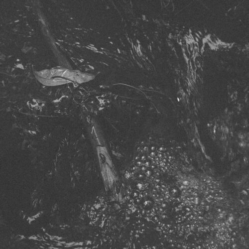 Holy Water - Holy Water (2022)