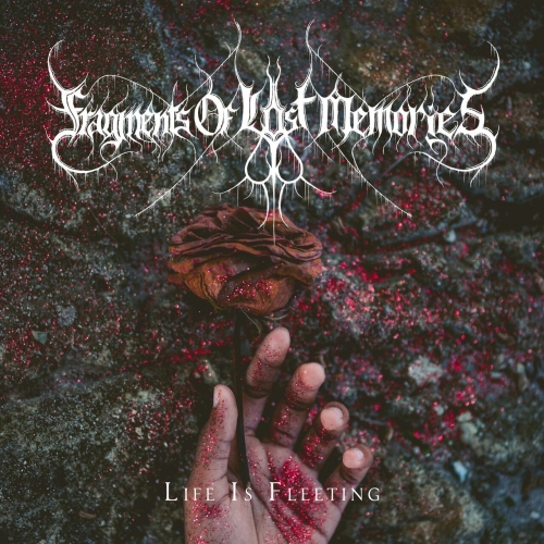 Fragments of Lost Memories - Life Is Fleeting (2023)