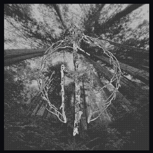 Felsenmirror - Felsenmirror (2023)