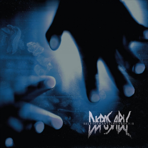 Disposable - Self Dismantling Process [ep] (2023)