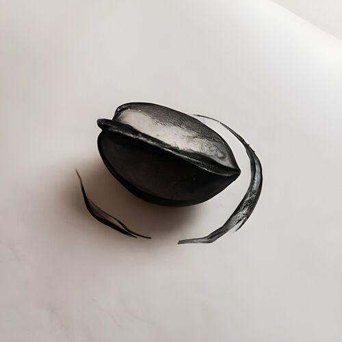 Suodeth - Seed (2023)