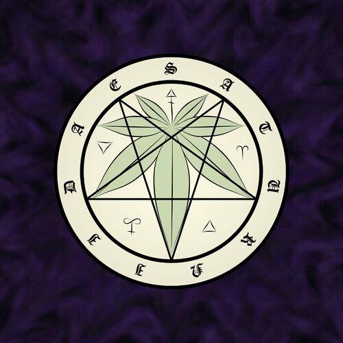 Saturniidae - Book of Rituals (2023)