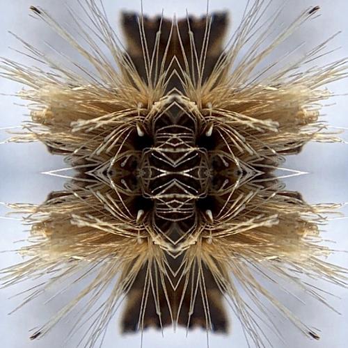 Yakuza - Sutra (2023)