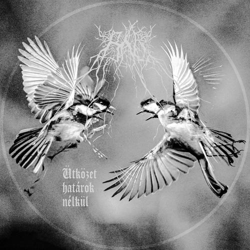 BAL - Ütközet határok nélkül (2023)