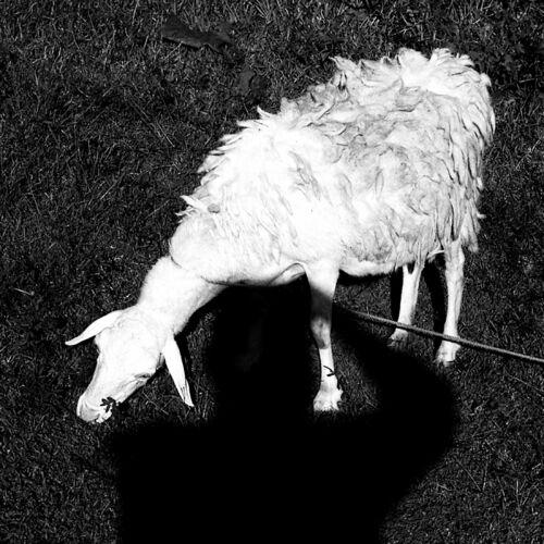 All Machines Will Fail - And We (2022)