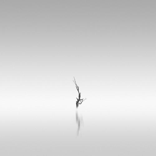 Netherhall - Process (2023)