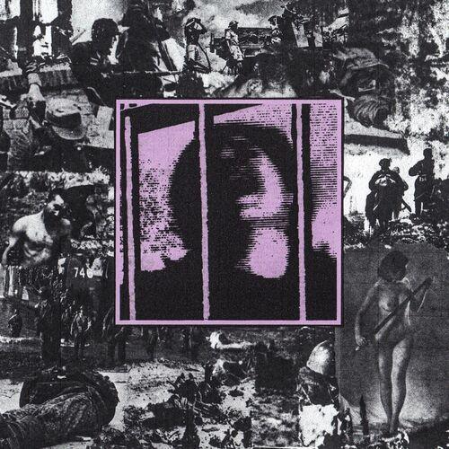 Fox Wound - Death Blossoms in a Trauma Year (2023)