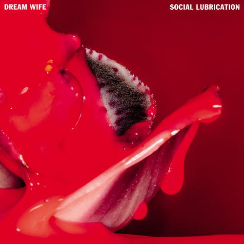 Dream Wife - Social Lubrication (2023)