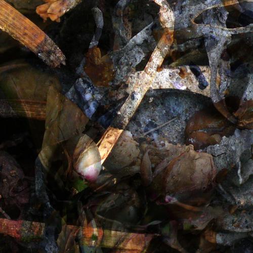 The River - A Hollow Full of Hope (2023)