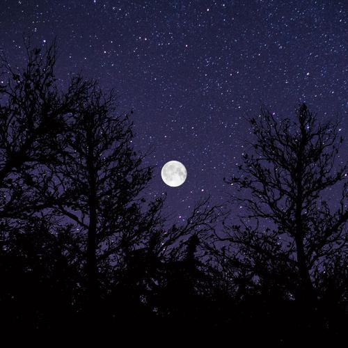 Metacognate - In The Wake of Insomnia (2023)