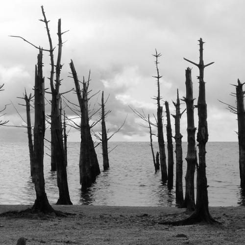 Cober Mouth - Cober Mouth (2023)