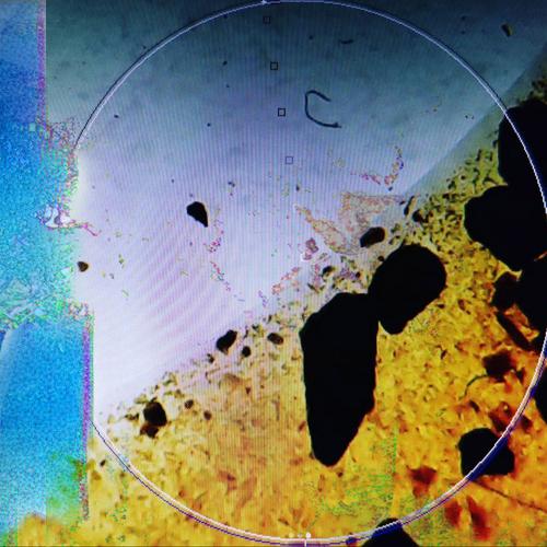 dreamTX - living in memory of something sweet (2023)