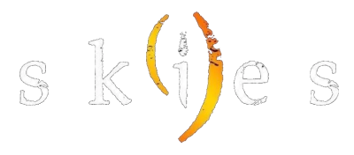 Nine Skies  - Swееthеаrt Griрs [2СD] (2019)