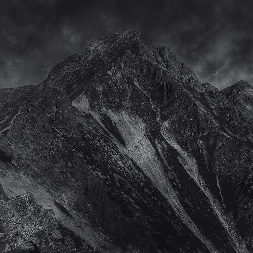 Whalesong - Leaving a Dream (2023)