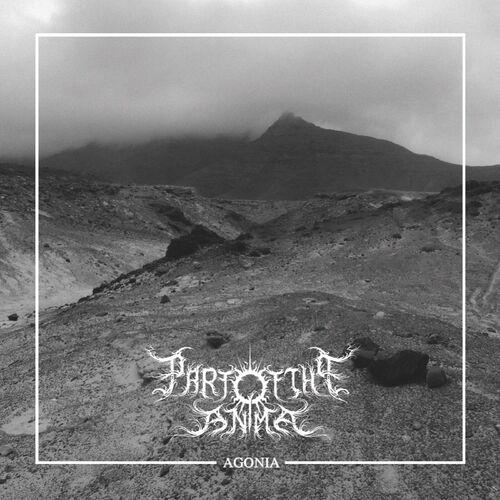 Part of the Anima - Agonia (2023)