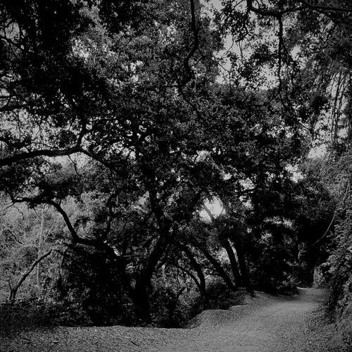 Yolstsor - The Northern Abyss (2023)