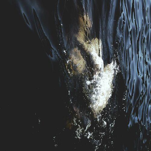 Fawn Limbs / Nadja - Vestigial Spectra [Collaboration] (2023)