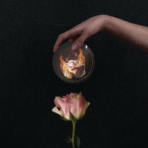 Stain the Canvas - All Fine / Enif Lla (Deluxe Edition) (2023)