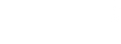 Northern Light - Nоrthеrn Light [Jараnеsе Еditiоn] (2005)