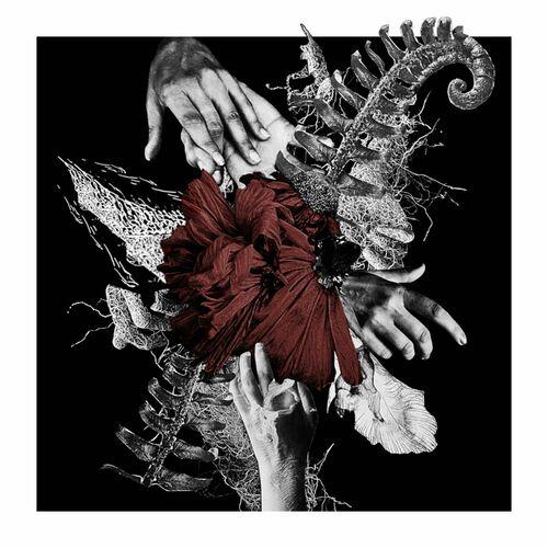 Linchpin - Blossoming Decay (2024)