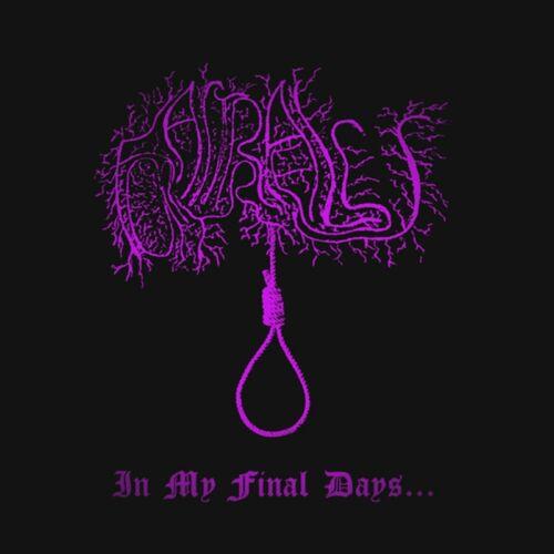 Astral Fortress - In My Final Days... (2024)