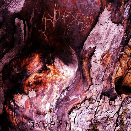 Ad Astra - Harvest (2024)