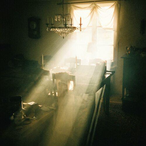 Grayscale Season - feel something new (2023)