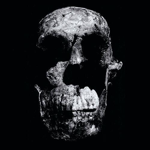 All Are To Return - AATR III (2024)