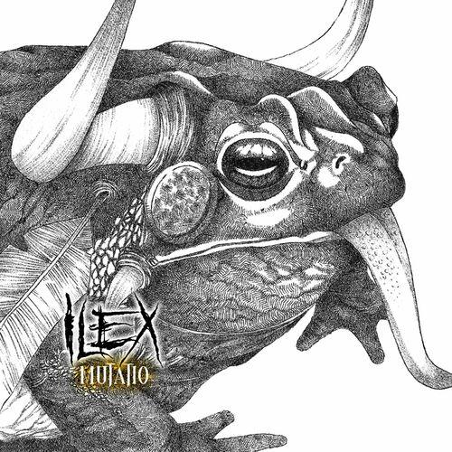 Ilex - Mutatio (2024)