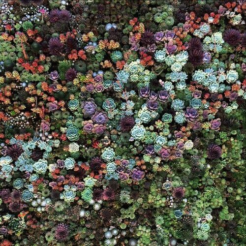 Until the Unknown - Reimmerse (2024)