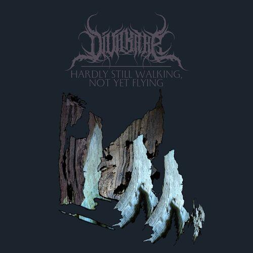 Diva Karr - Hardly Still Walking, Not Yet Flying (2024)