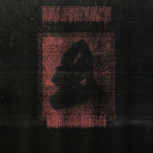 Black Wound - Warping Structure (2023)