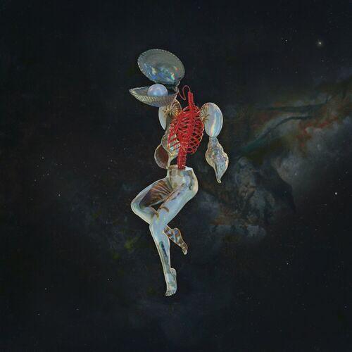 Hail Spirit Noir - Fossil Gardens (2024) CD