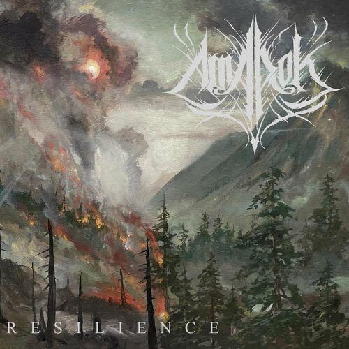 Amarok - Resilience (2024)