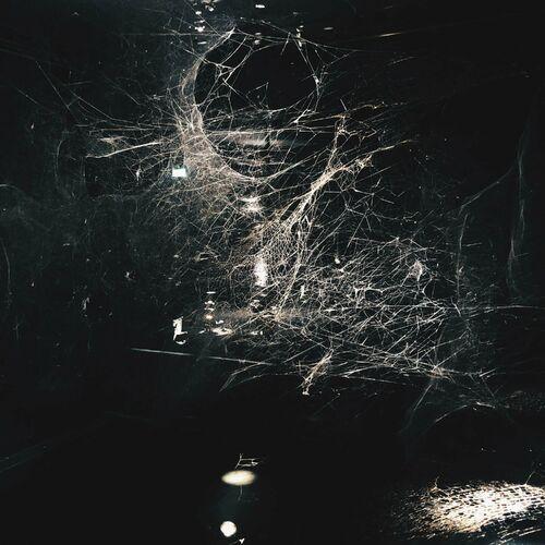 Blind Girls - An Exit Exists (2024)