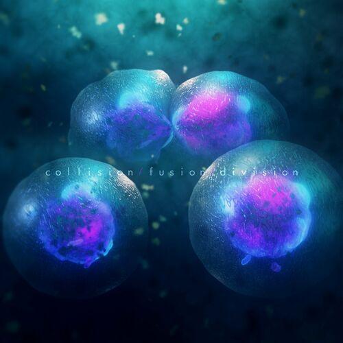 At Night I Fly - collision/fusion/division (2024) 320|FLAC|CD|Scans