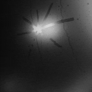 Touche Amore - Spiral In A Straight Line (2024) 320|FLAC|Hi-Res