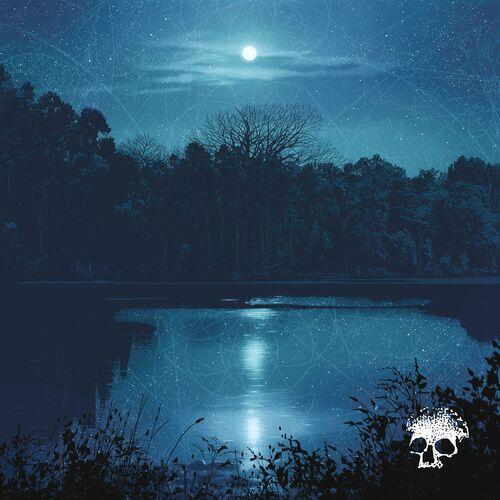 Planes Mistaken For Stars - Do You Still Love Me? (2024) 320|FLAC