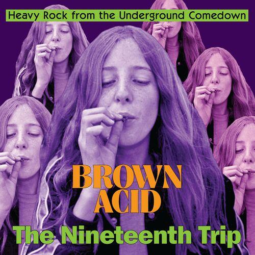 VA - Brown Acid - The Nineteenth Trip (2024)