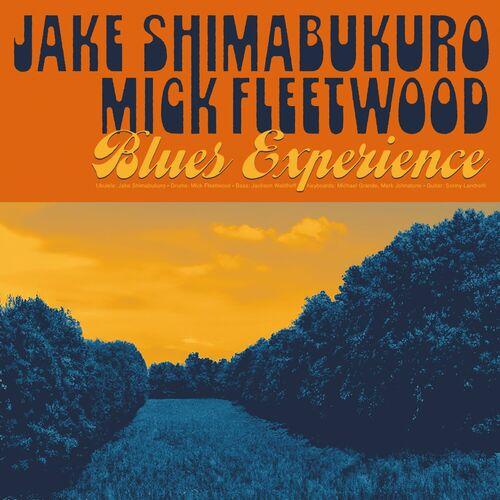 Jake Shimabukuro - Blues Experience (2024) 320|FLAC