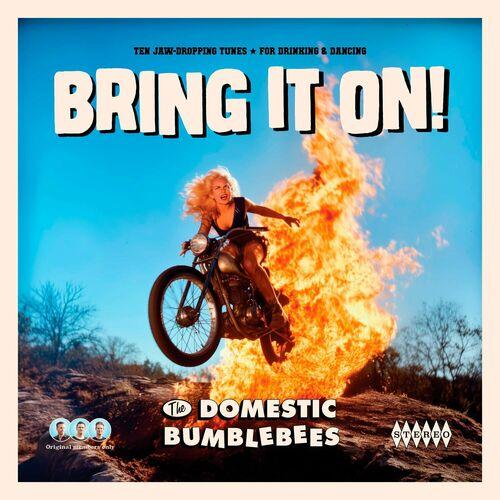 The Domestic Bumblebees - Bring It On! (2024) 320|FLAC