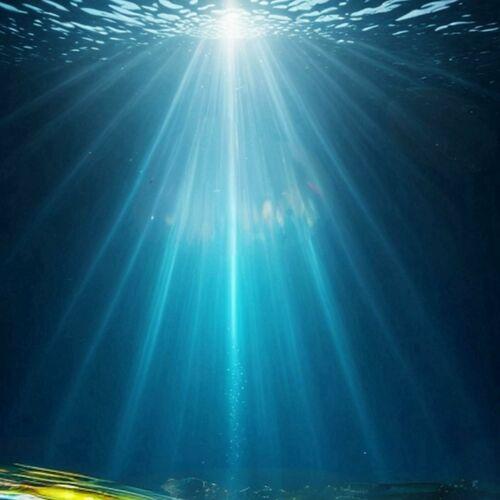 The Moon Is Flat - A Distant Point of Light (2024)