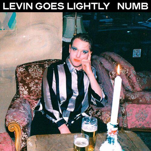 Levin Goes Lightly - Numb (2024)