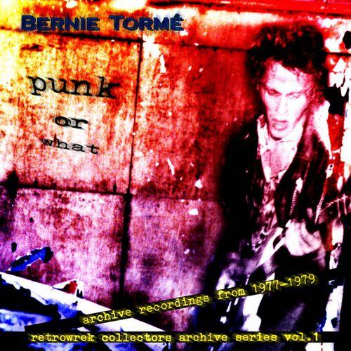Bernie Torme - Punk Or What (2024 Remaster) (1998)