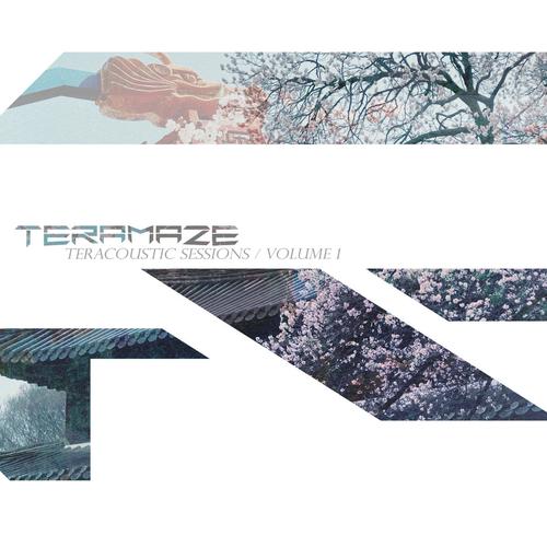 TERAMAZE - Teracoustic Sessions Vol 1 (2024) 320|FLAC